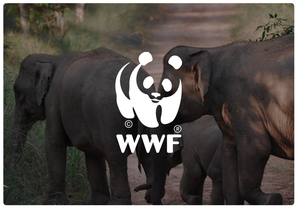 WWF Infonesia - World Wide Fund for Nature